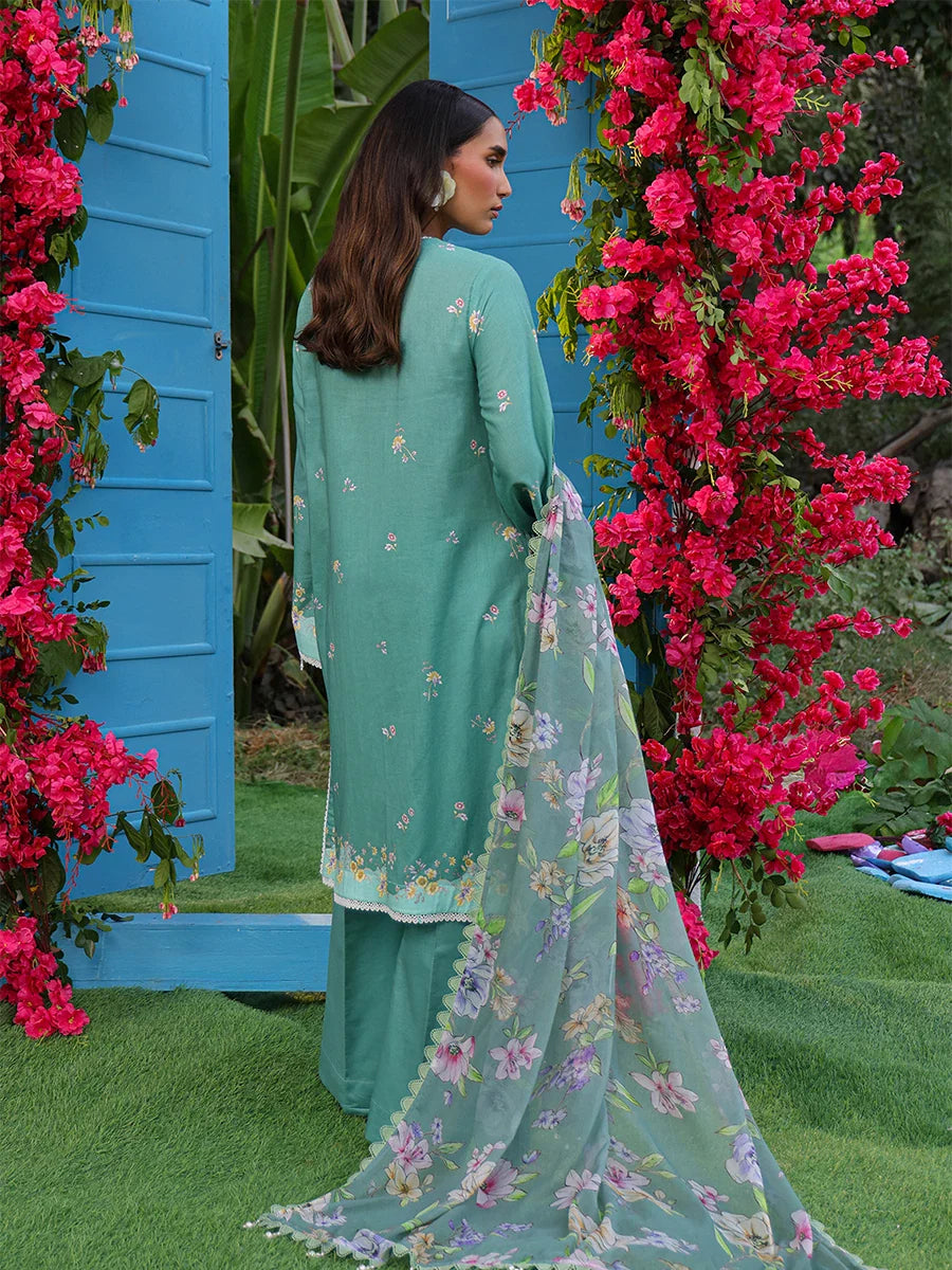 Salitex - LUXURY CAMBRIC EMBROIDERED SUIT