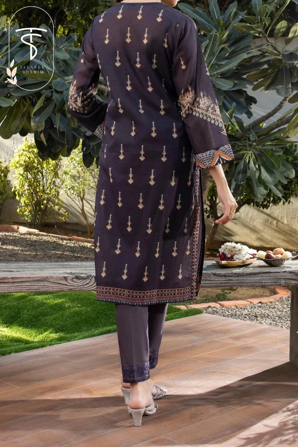 2pc Unstitched - printed shirt paired with beautiful border embroidered pants